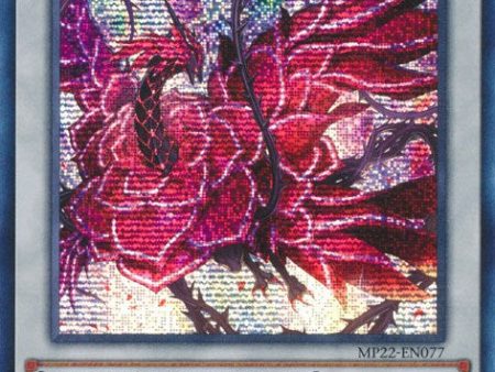 Ruddy Rose Dragon [MP22-EN077] Prismatic Secret Rare Supply